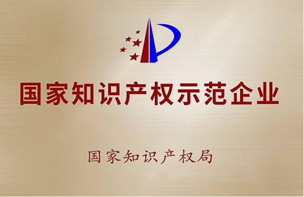 國家知識產(chǎn)權(quán)示范企業(yè)